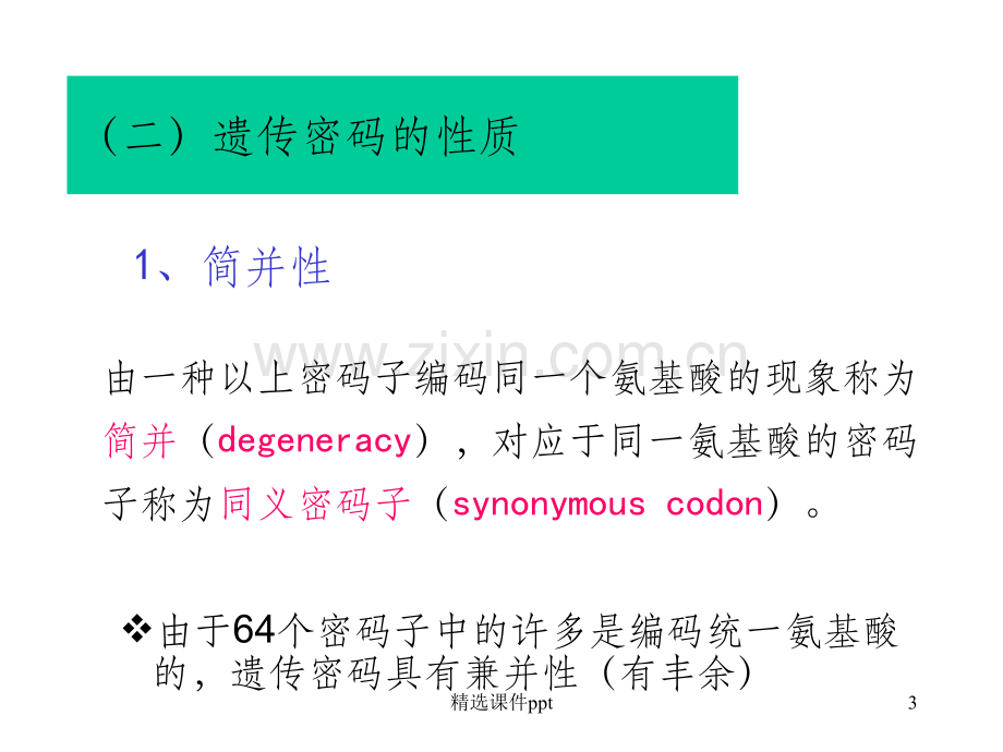 《N蛋白质合成》PPT课件.ppt_第3页