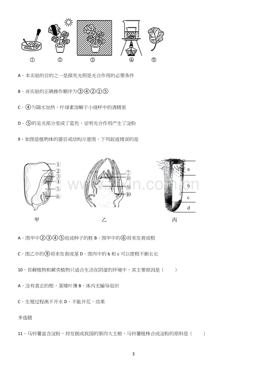 通用版初中生物七年级上册第三单元生物圈中的绿色植物典型例题.docx_第3页