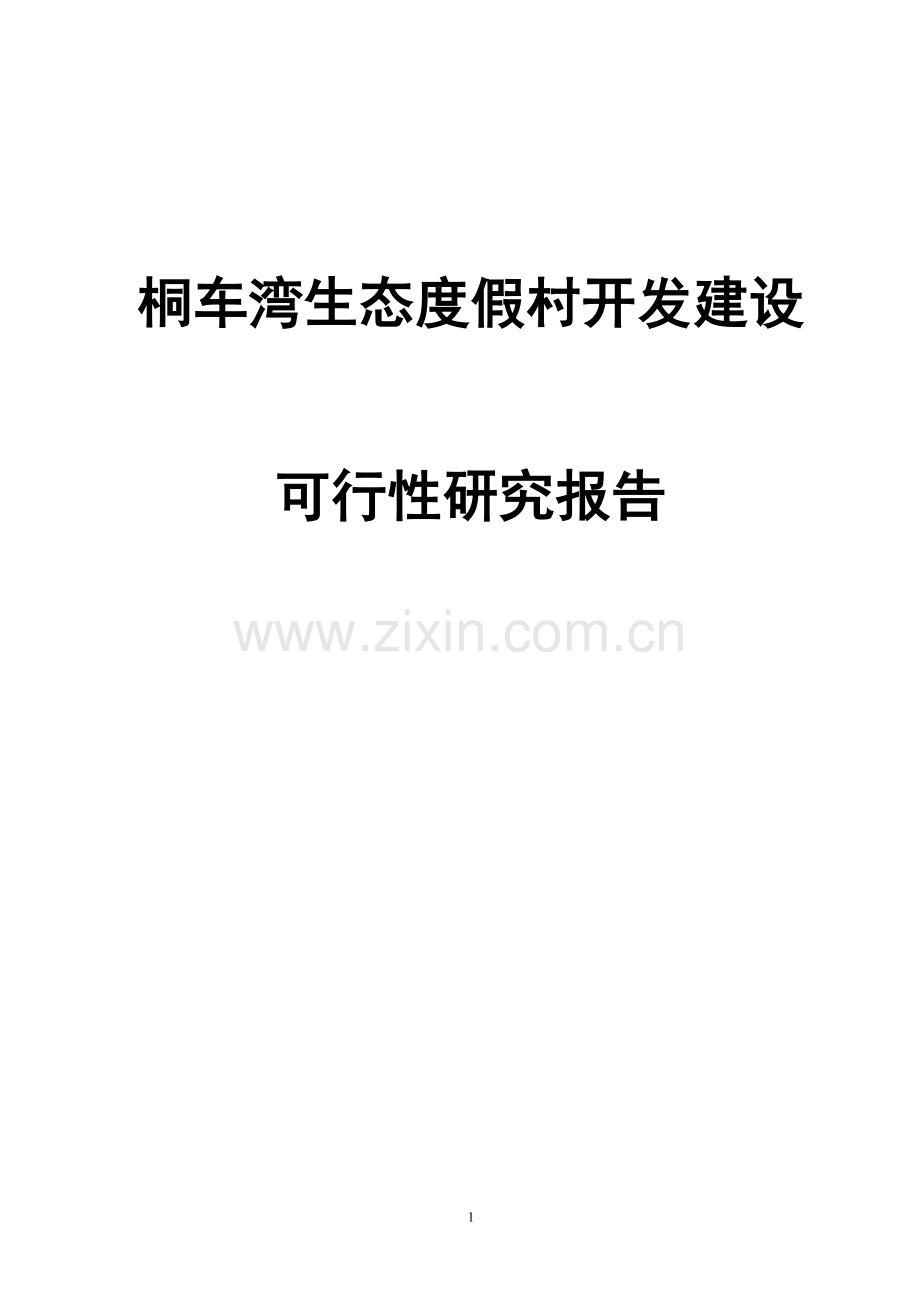 湖南金洞国家森林公园筒车湾温泉生态度假村开发建设可行性论证报告(定稿).doc_第1页