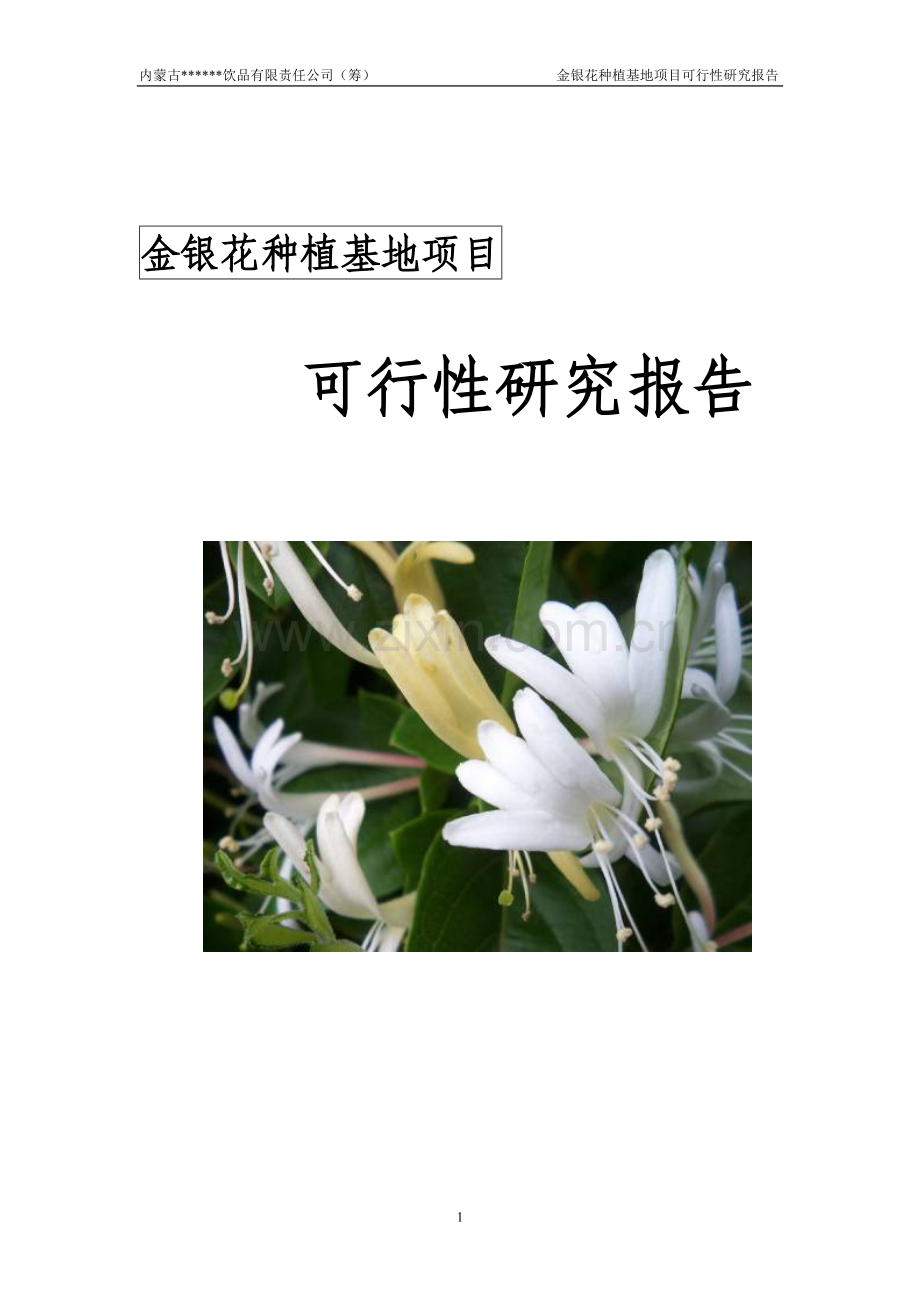 金银花种植与产业化建设可行性策划书.doc_第1页