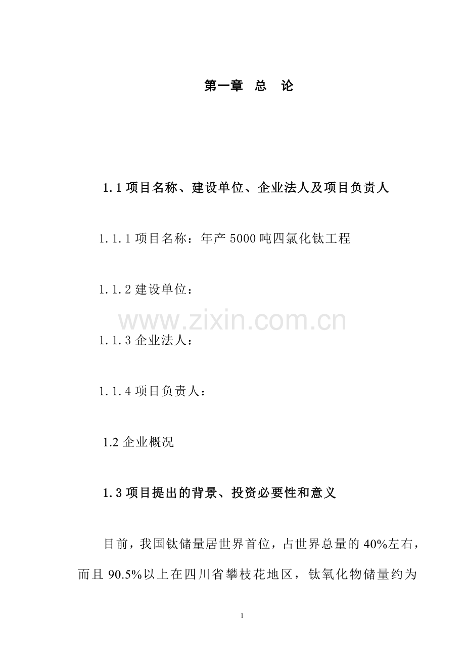 四川某企业年产5000吨四氯化钛工程建设可行性策划书.doc_第2页