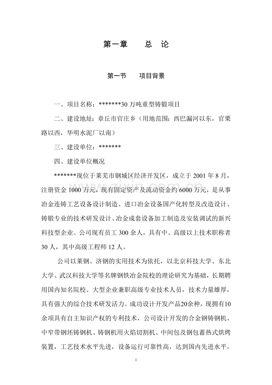 30万吨重型铸锻可行性论证报告1.doc_第1页