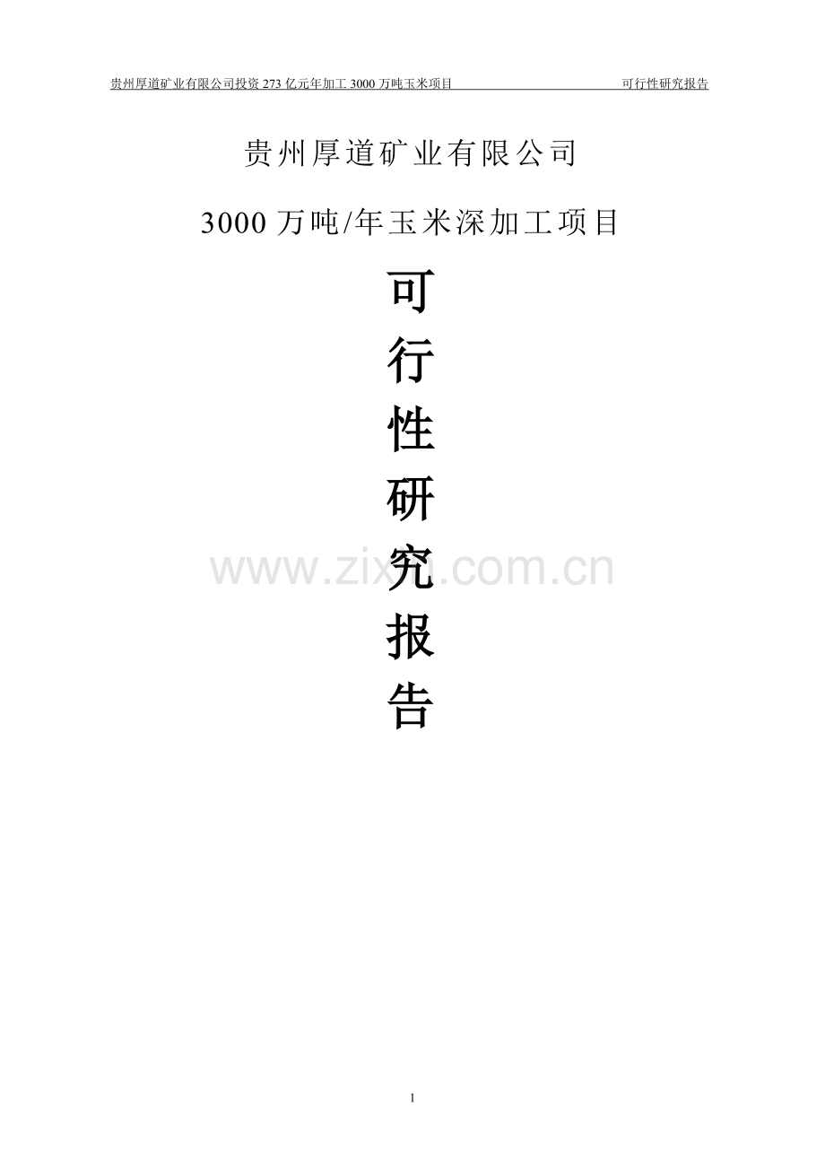 年产3000万吨玉米深加工项目可行性研究报告.doc_第1页