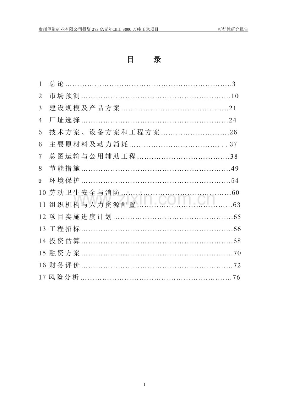 年产3000万吨玉米深加工项目可行性研究报告.doc_第2页