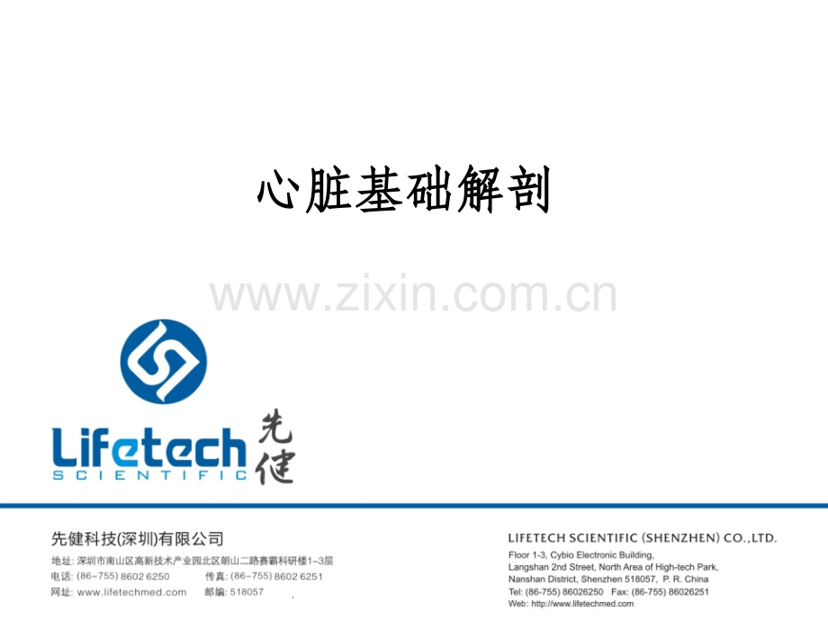 心脏基础解剖.ppt_第1页