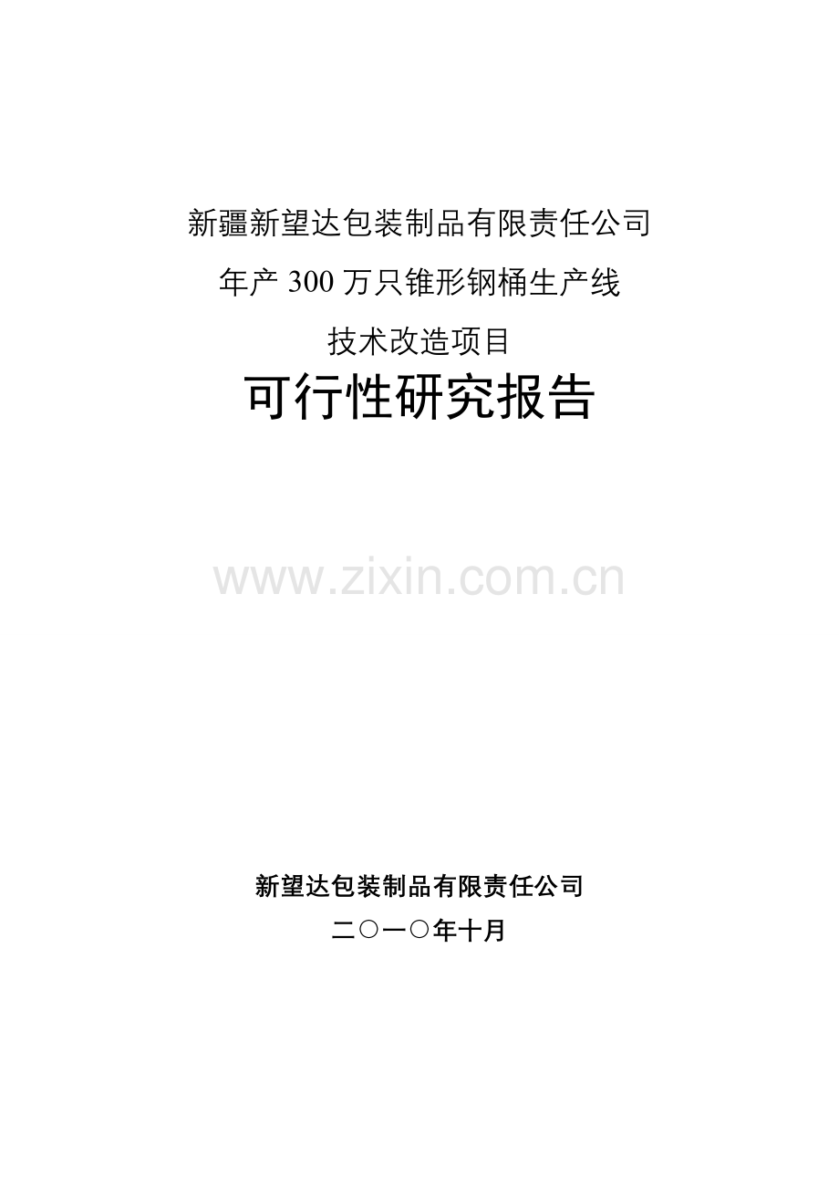 年产300万只锥形钢桶生产线技术改造项目建设可行性研究论证报告.doc_第1页