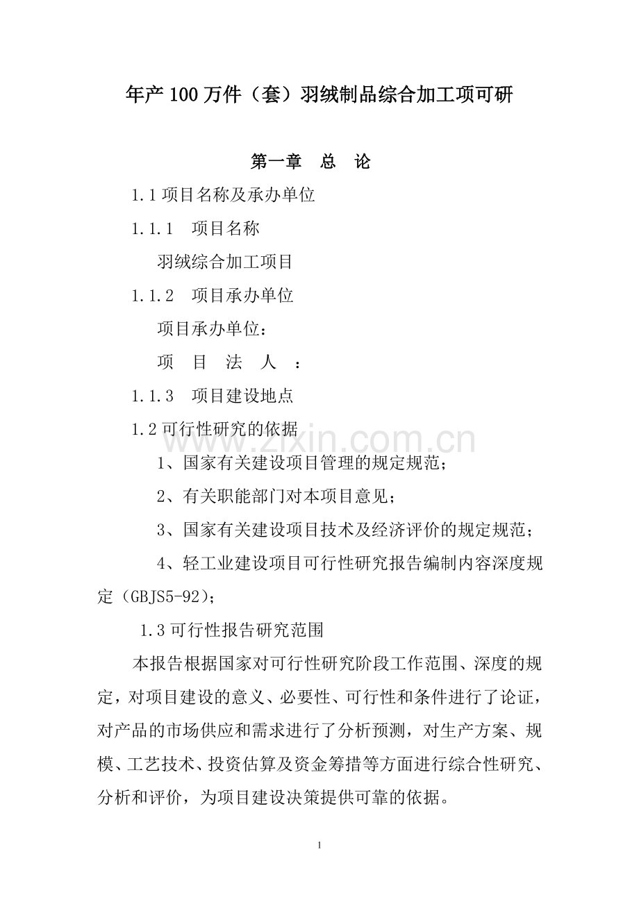 年产100万件(套)羽绒制品综合加工项建设可研.doc_第1页