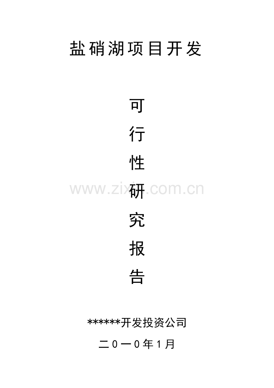 投资建设年产1万吨芒硝、1万吨原盐盐湖泊开发项目可行性论证报告.doc_第1页