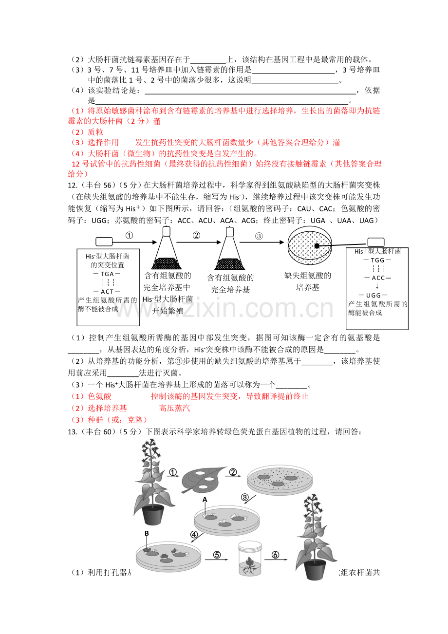 北京市各区2014届高三上学期期末生物试题分类汇编--选修一.doc_第3页