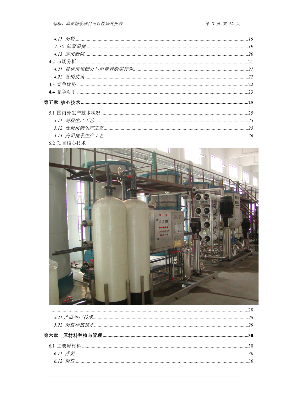 以洋姜、菊苣为原料生产菊粉、低聚果糖、高果糖浆项目可行性研究报告.doc_第3页