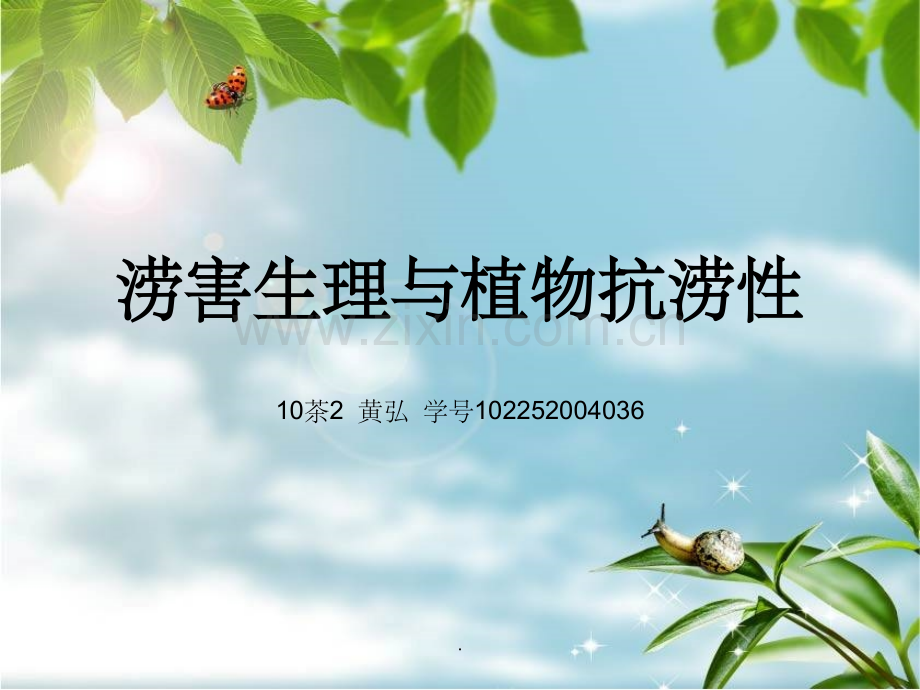 植物生理学.ppt_第1页