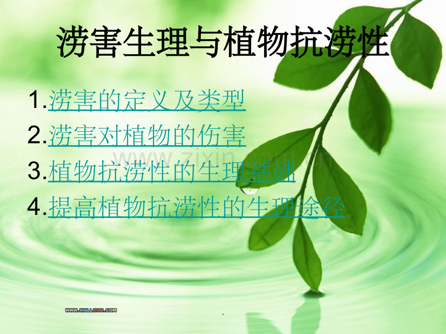 植物生理学.ppt_第2页