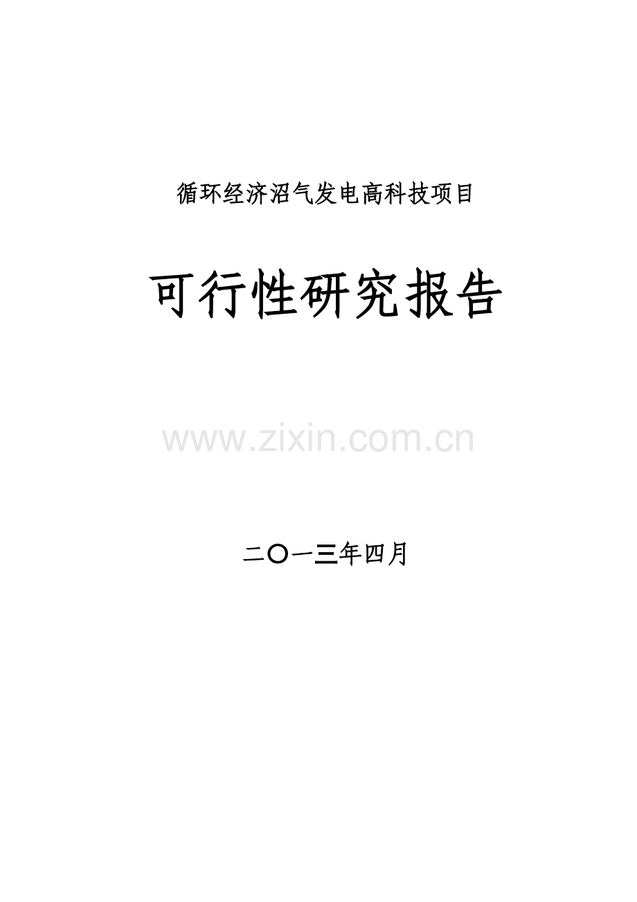 XX环保科技有限公司循环经济沼气发电高科技项目可行性研究报告.doc_第1页