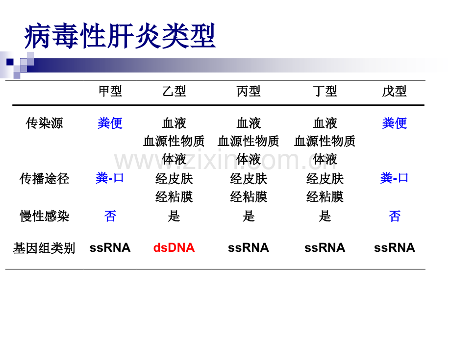 病毒性肝炎血清标志物检查医学PPT课件.ppt_第2页