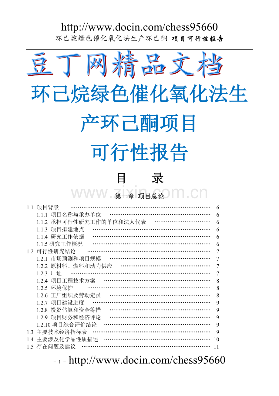 化氧化法生产环己酮-可行性论证报告.doc_第1页