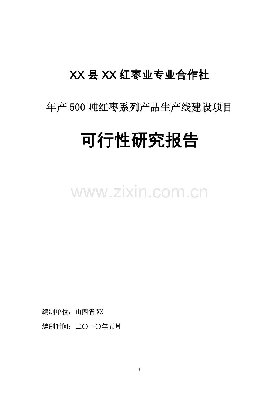 年产500吨红枣系列产品生产线项目可行性策划书.doc_第1页