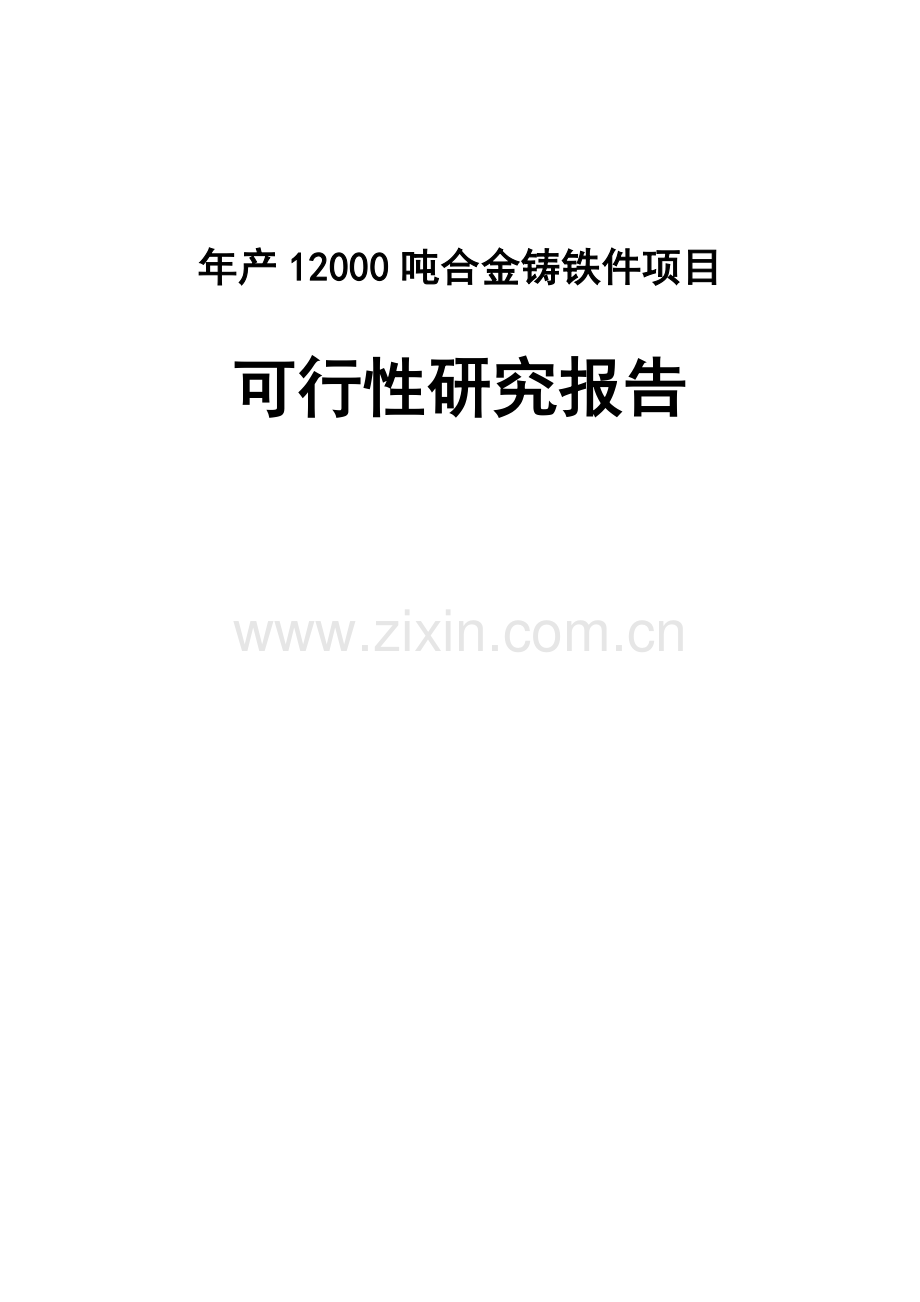 年产12000吨合金铸铁件项目可行性研究报告.doc_第1页