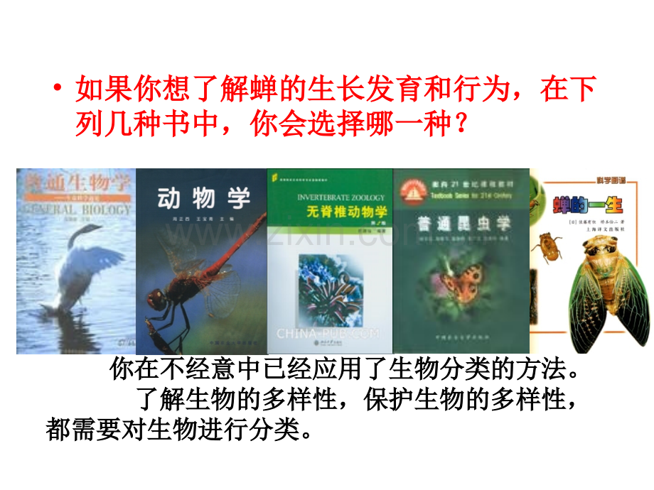 节生物的分类.ppt_第2页