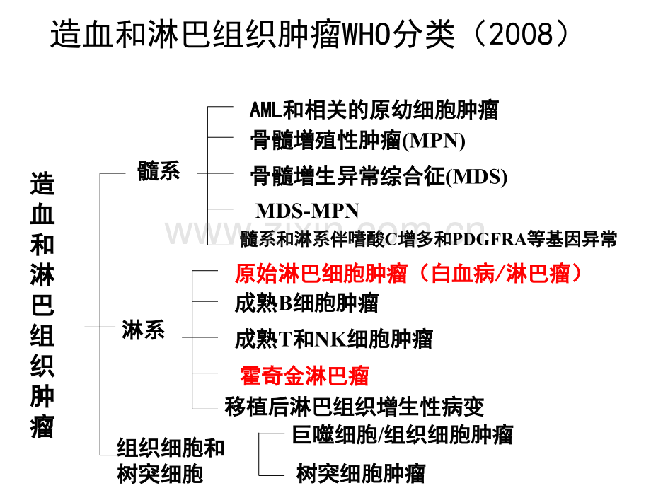 恶性淋巴瘤(血液检验.ppt_第2页