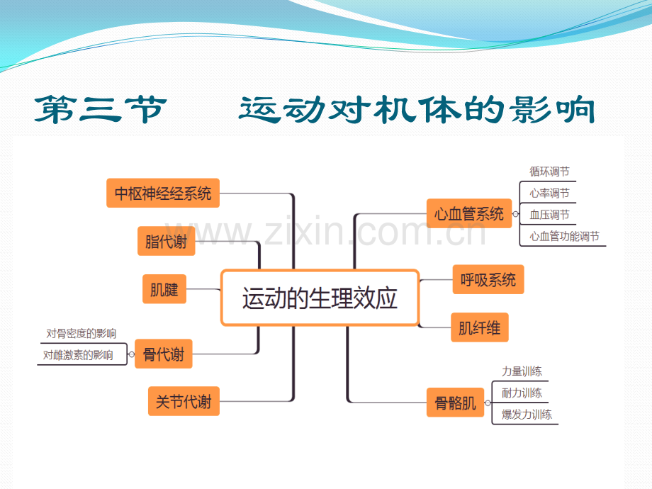 第二章康复医学相关基础.pptx_第3页