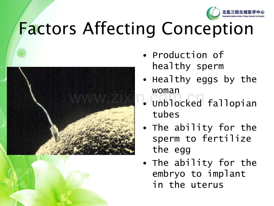 北医三院生殖医学中心讲义.ppt_第2页