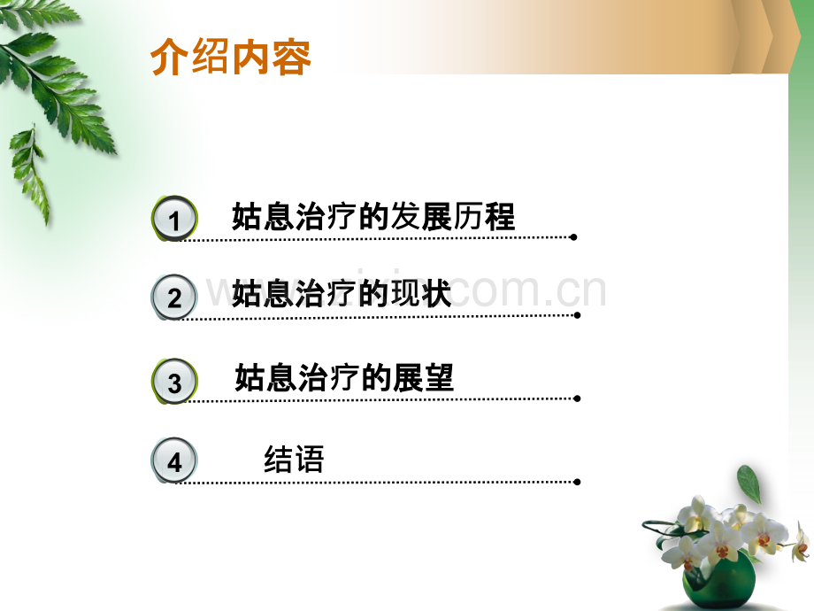 恶性肿瘤的姑息治疗课件.ppt_第2页