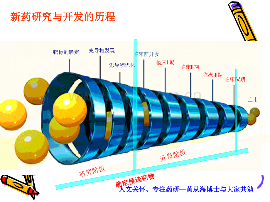 新药研发过程演示课件.ppt_第3页