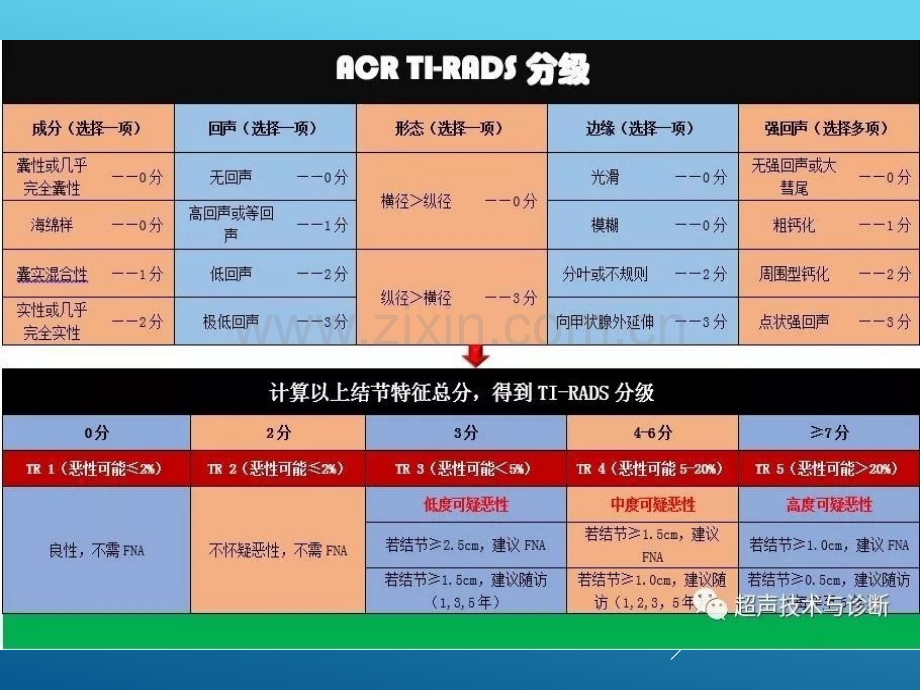 甲状腺TI-RADS分类.pptx_第3页