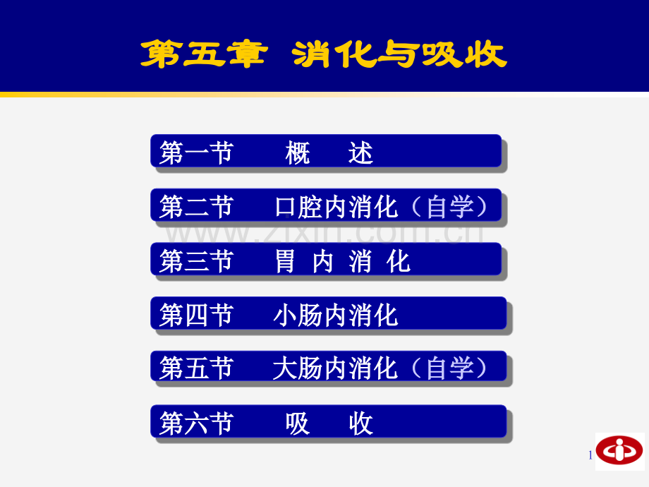 生理学第六章小肠内消化和吸收.ppt_第1页