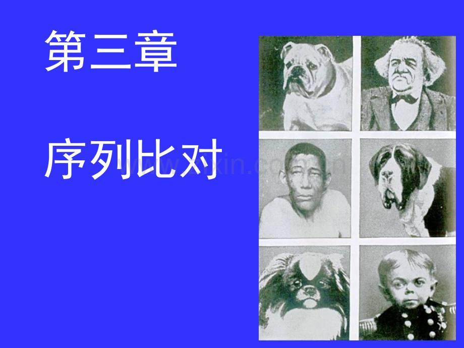 2019精选医学第三章序列比对..ppt_第1页