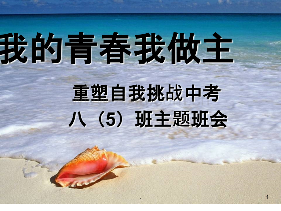 我的青春我做主.ppt_第1页