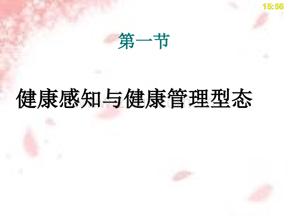 功能性健康型态.ppt_第3页