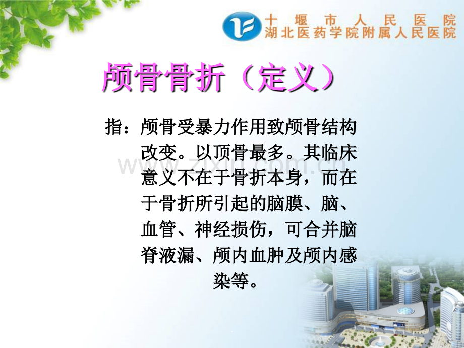 颅骨骨折的科普.ppt_第2页