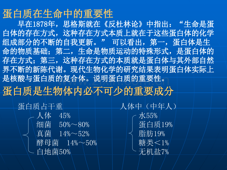 第二章蛋白质.ppt_第2页