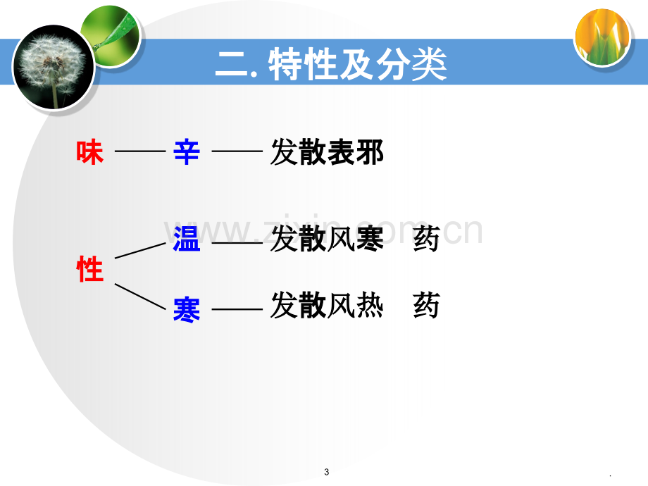 发散风寒药.ppt_第3页