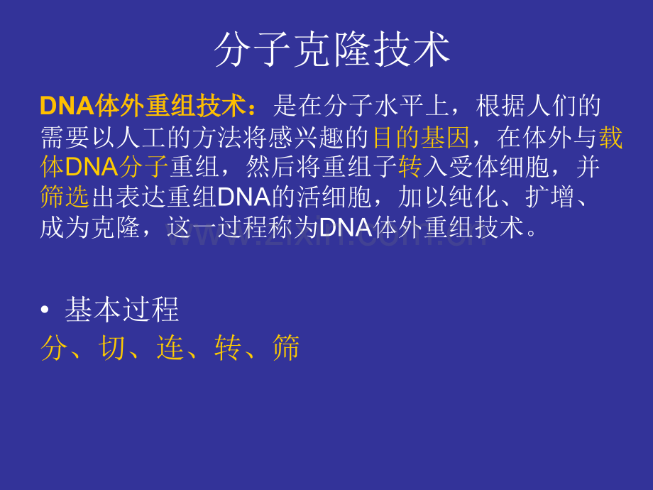 分子生物学技术-分子克隆.ppt_第3页