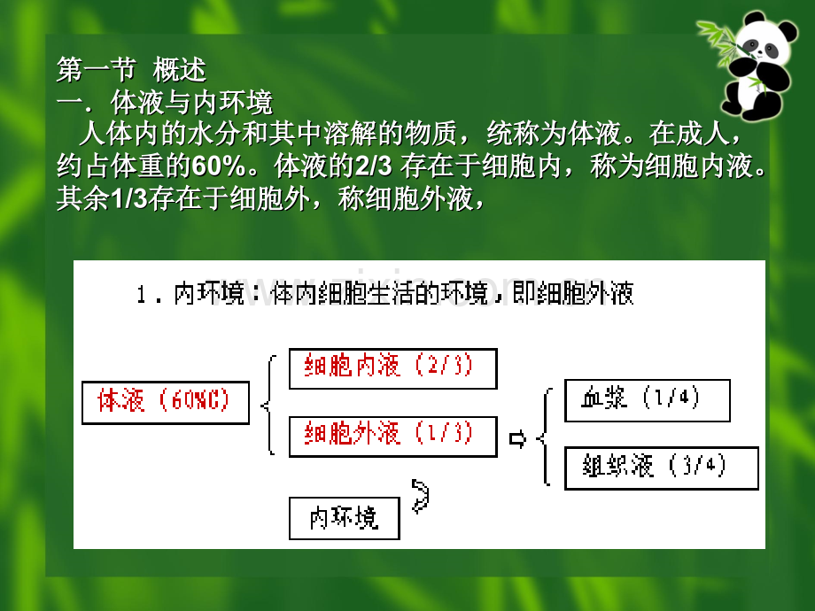 第五章--血液.ppt_第2页