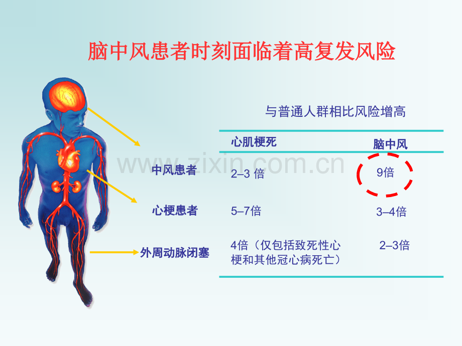 【医学ppt课件】如何预防脑中风---副本.ppt_第3页