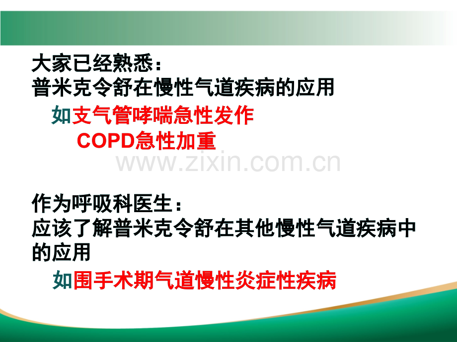 普米克令舒.ppt_第2页