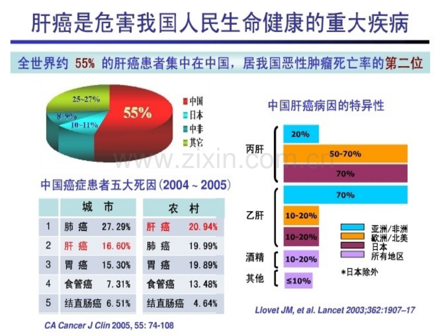 肝癌的早期诊断.ppt_第3页