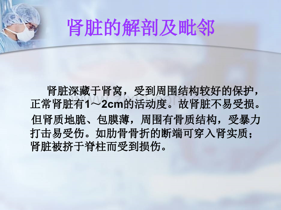 肾损伤病人的护理.ppt_第3页