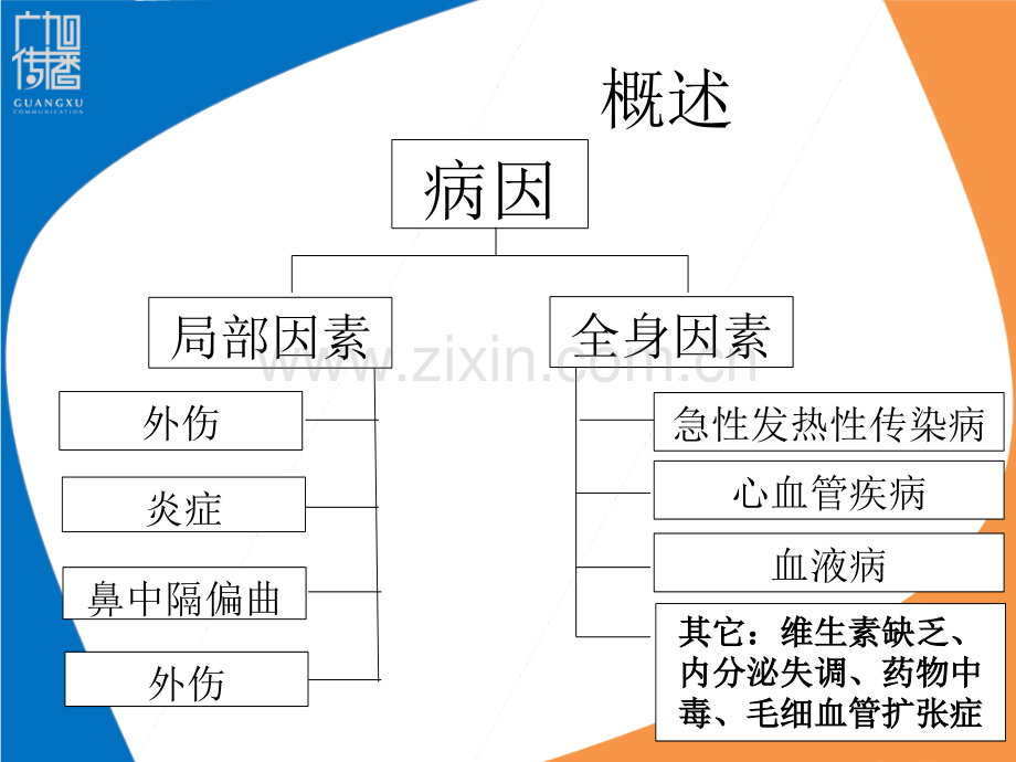 鼻出血的护理演示课件.ppt_第3页