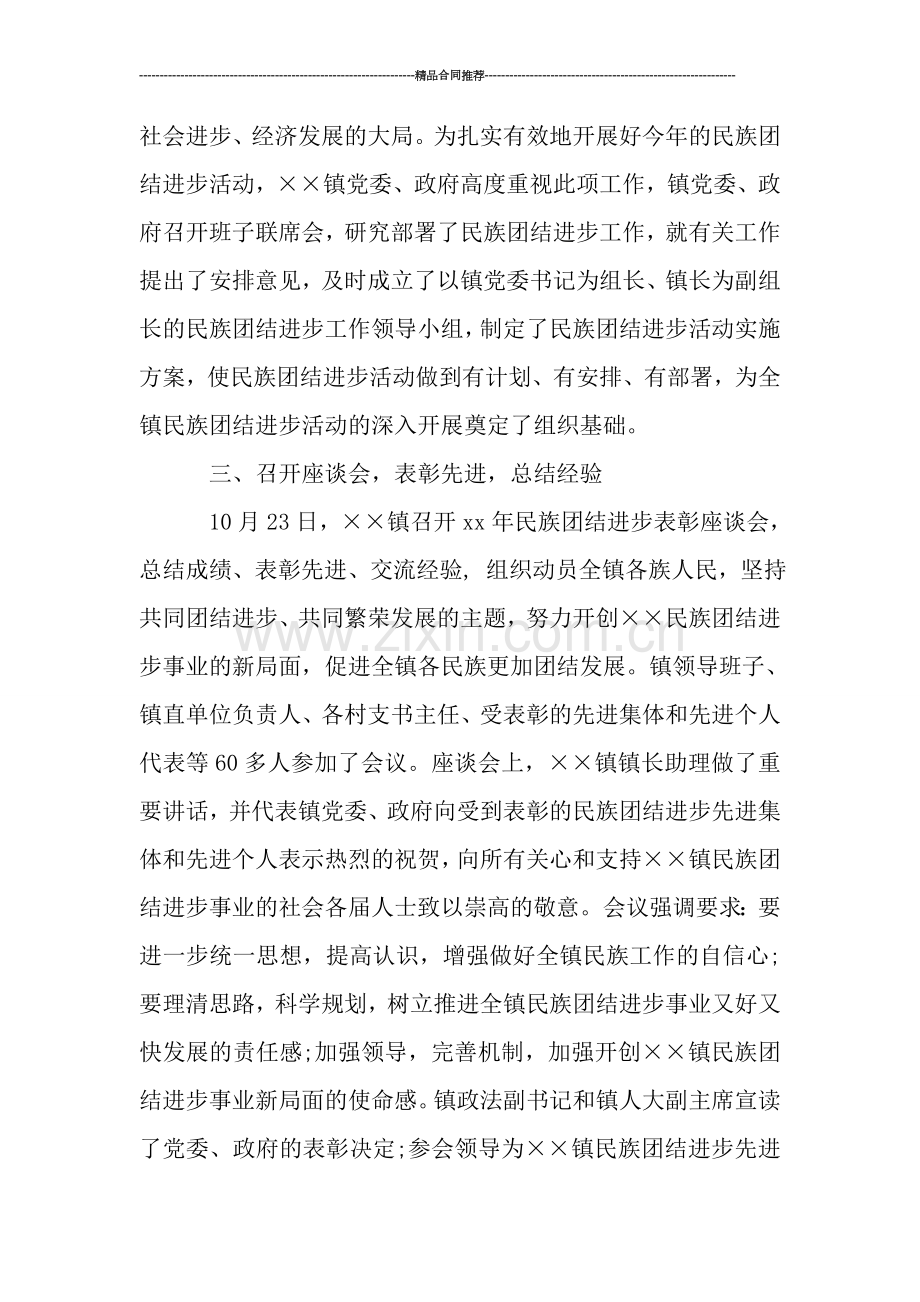 镇民族团结进步年终工作总结.doc_第2页