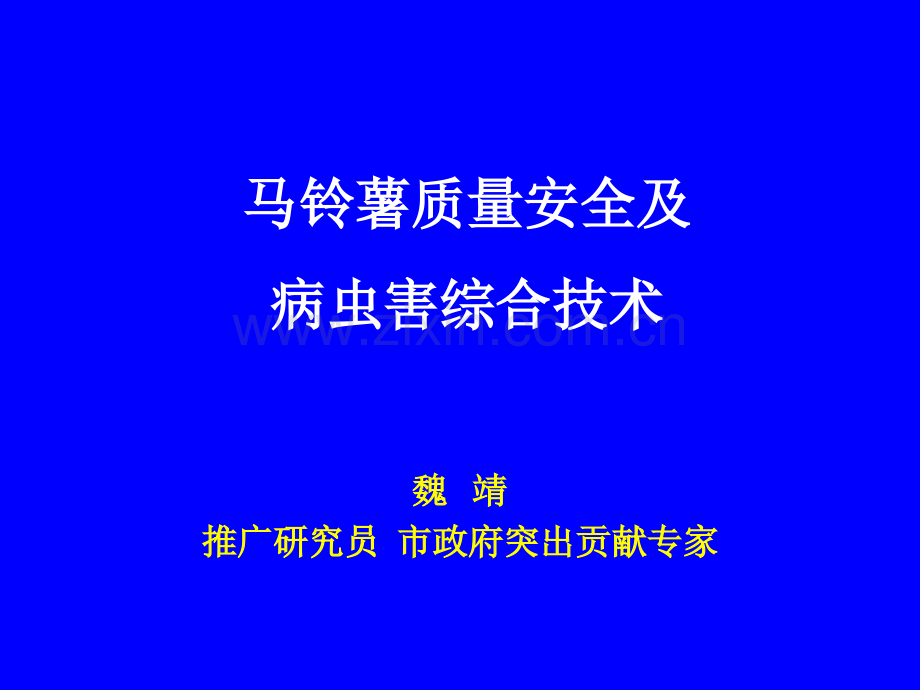 马铃薯质量安全及病虫害综合防治.ppt_第1页