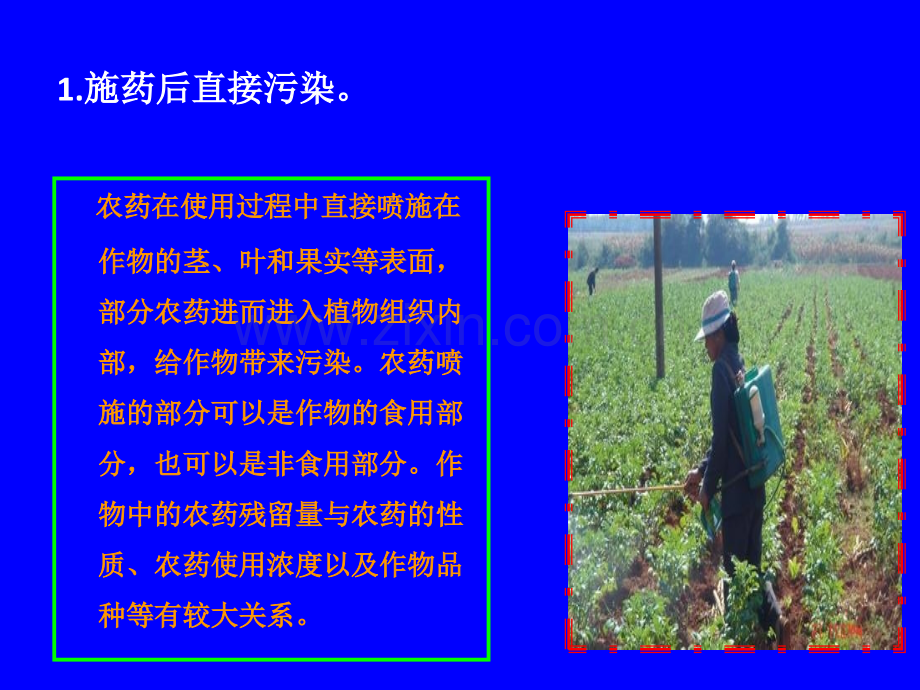 马铃薯质量安全及病虫害综合防治.ppt_第3页