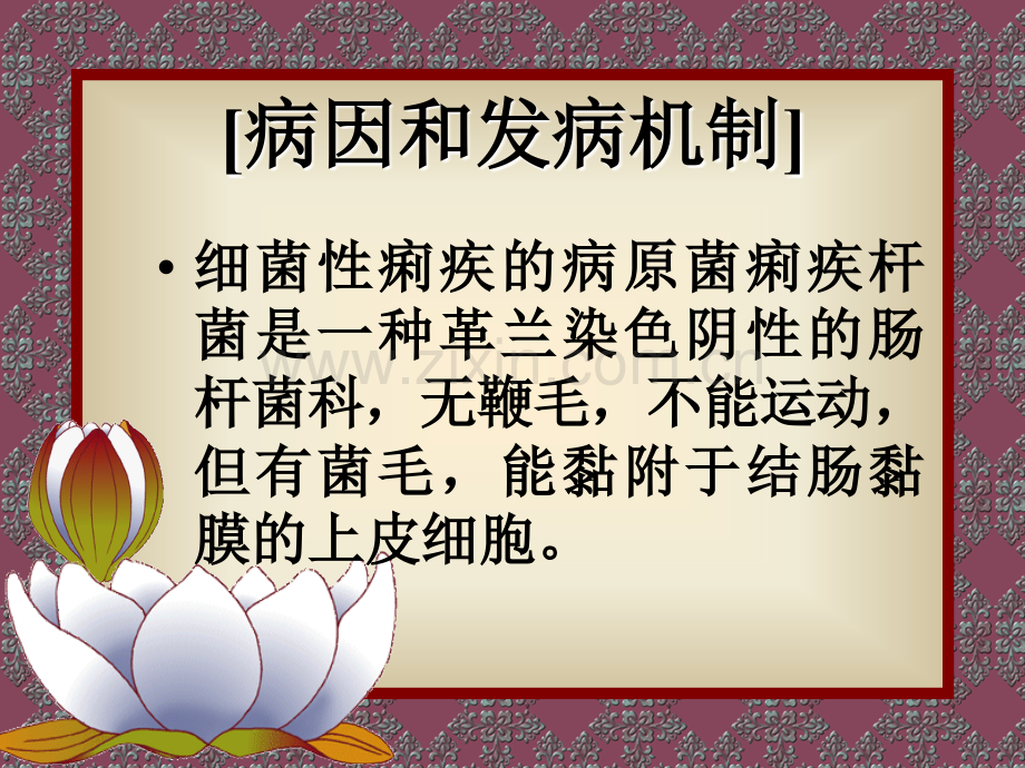 第二节细菌性痢疾.ppt_第3页