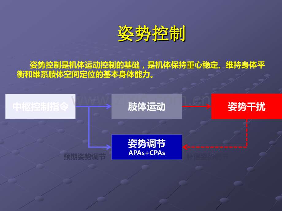 前馈控制与康复.ppt_第2页