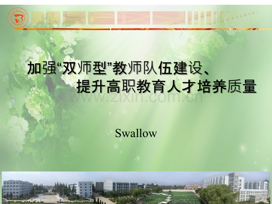 加强“双师型”教师队伍建设].ppt_第1页