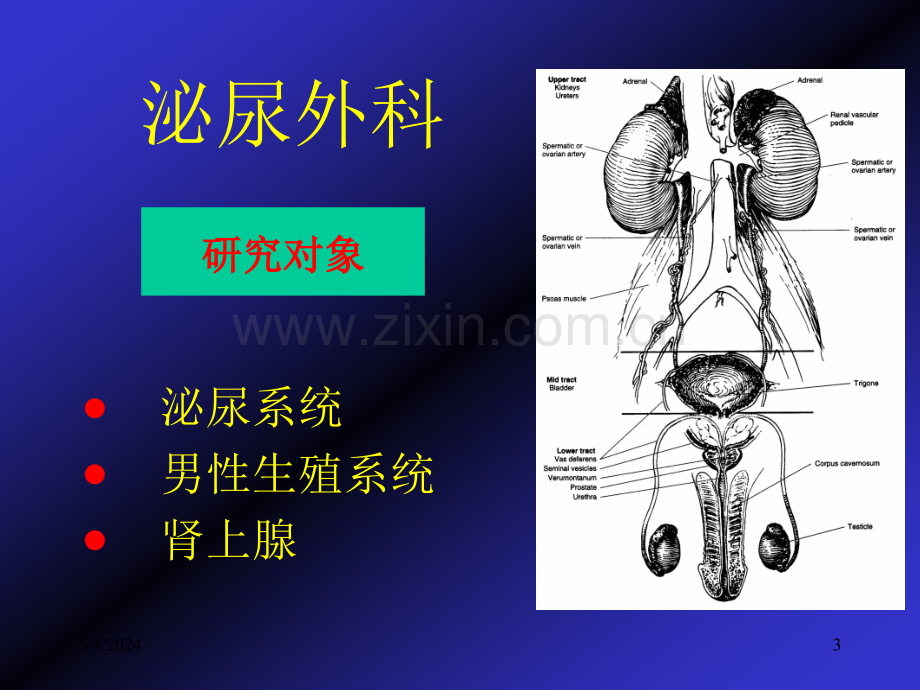 前列腺增生.ppt_第3页