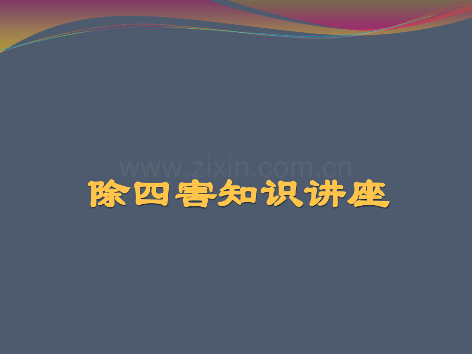 家庭除四害知识讲座.ppt_第1页